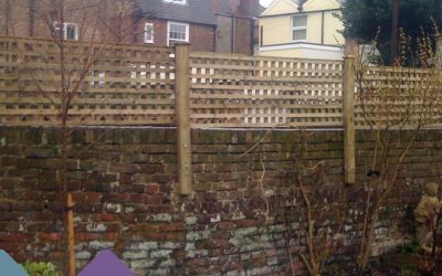 Does Your Garden Wall Count as a Party Wall?