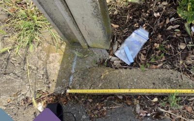 Garden Boundary Disputes