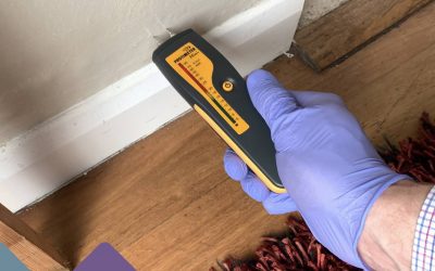 Property Damp Strikes Again! (Part 2)