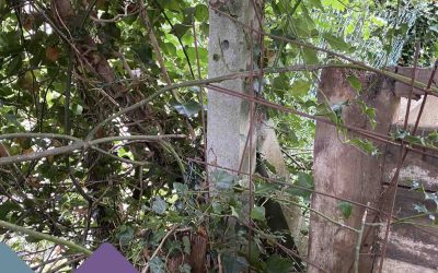 How to Locate Historic Boundary Markers?