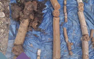 What is a Ground Investigation Report?