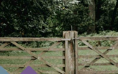 Can a Neighbour Move My Fence? Fence Ownership and Boundary Survey Advice