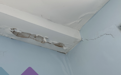 A Guide to Dilapidation Surveys