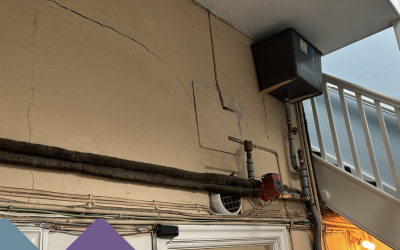 Property Dilapidations
